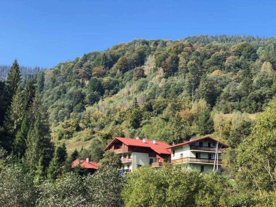 Лісова Казка Hotel Slavske Luaran gambar